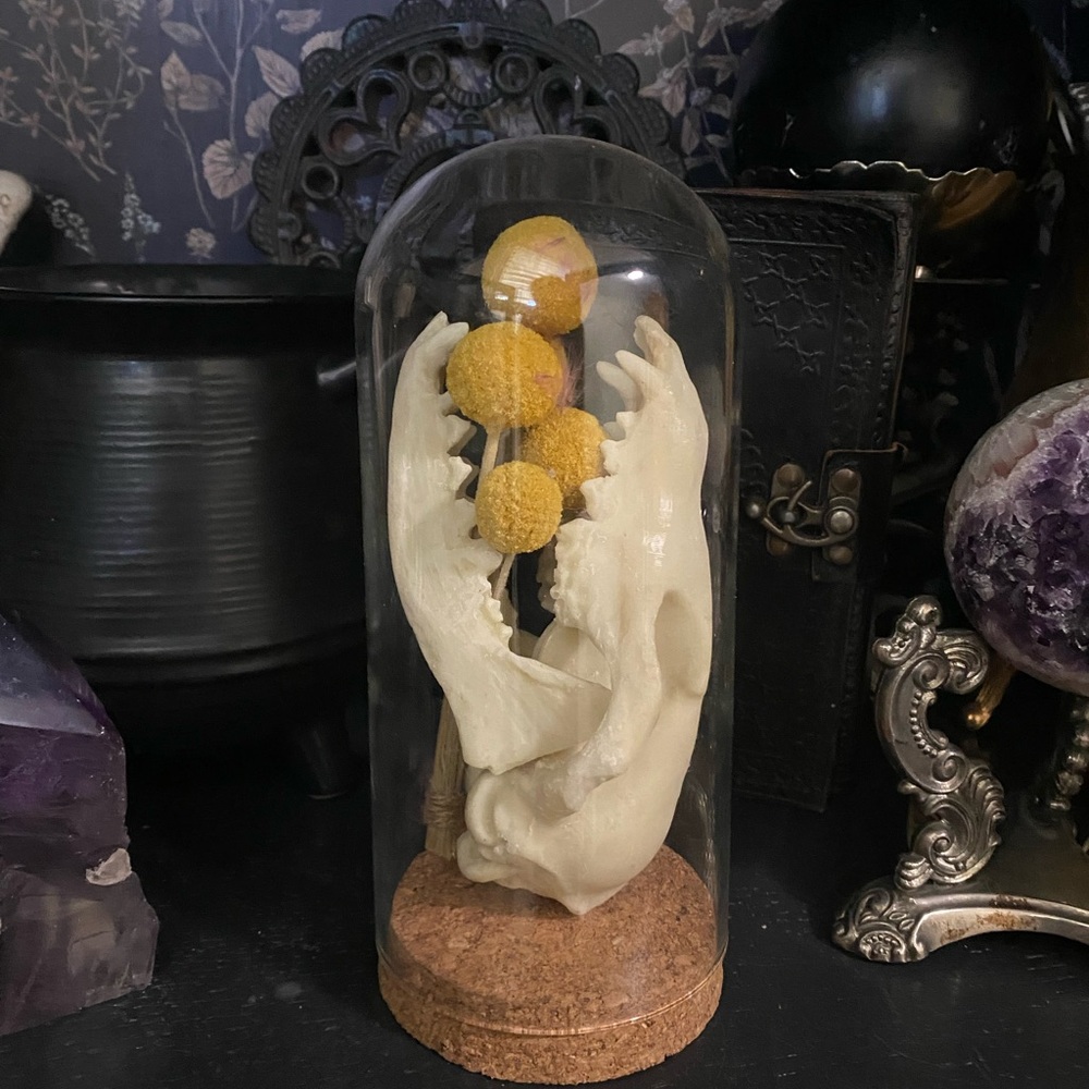 Unique Fox Skull and Flower Display in Glass Dome, Taxidermy Dome